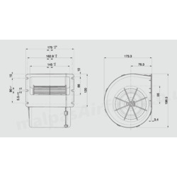 SPAL 537 cfm Single Blower 007-A56-32D (12v) (Single Speed) - view 8